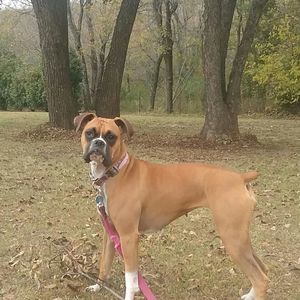 Meet your Posher, Cindy